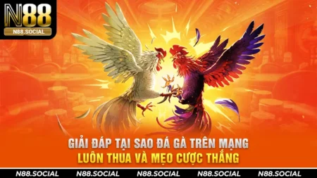tại sao đá gà trên mạng luôn thua