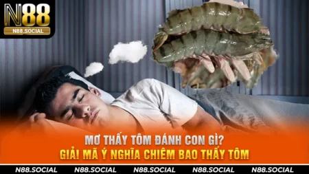 mơ thấy tôm
