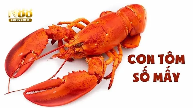 Mơ thấy tôm nên đánh số gì để được tài lộc?