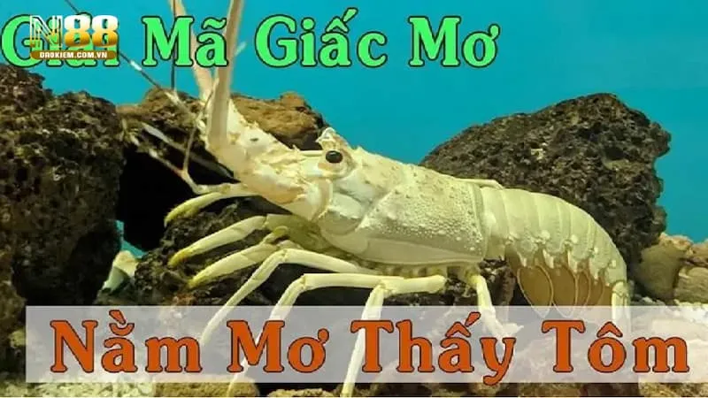 Chiêm bao thấy tôm mang đến điềm báo may mắn hay xui rủi