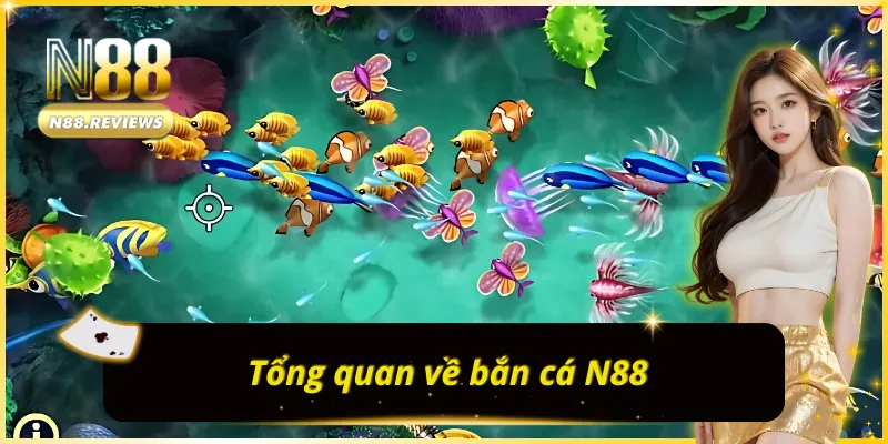 Những thông tin tổng quan thú vị về N88